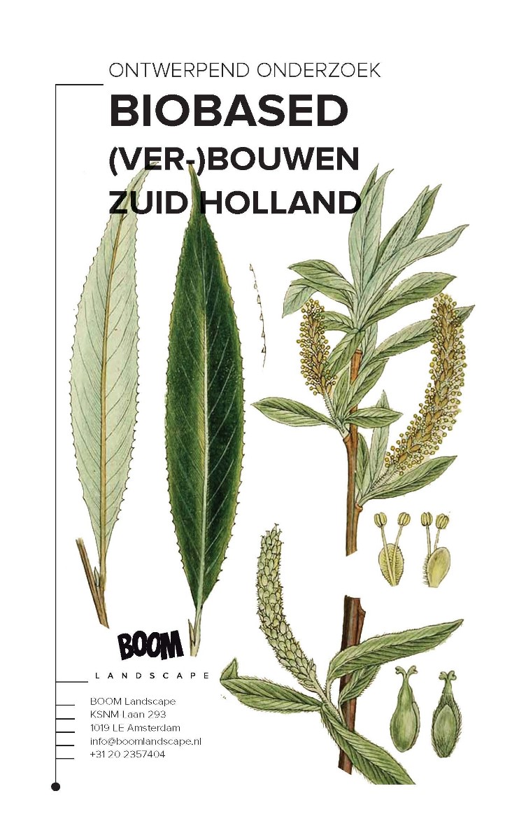 Bericht Biobased Zuid-Holland, studie Young Innovators 2019 bekijken